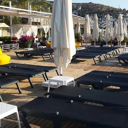 Alya Turkbuku Beach 호텔
