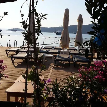 Alya Turkbuku Beach 호텔 3*